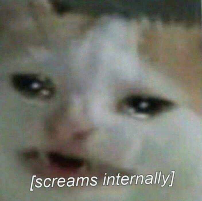 ⸙ • Random Memes ғᴇᴇʟ ғʀᴇᴇ ᴛᴏ ʀᴇᴘʟʏ ʏᴏᴜʀ ᴍᴇᴍᴇs ᴀғᴛᴇʀ ᴛʜɪs ᴛʜʀᴇᴀᴅ!