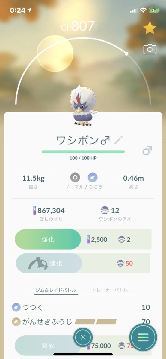 Shuu シュウ ポケモンgo ワシボン