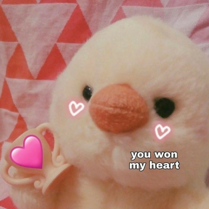 ⸙ • Random Memes ғᴇᴇʟ ғʀᴇᴇ ᴛᴏ ʀᴇᴘʟʏ ʏᴏᴜʀ ᴍᴇᴍᴇs ᴀғᴛᴇʀ ᴛʜɪs ᴛʜʀᴇᴀᴅ!