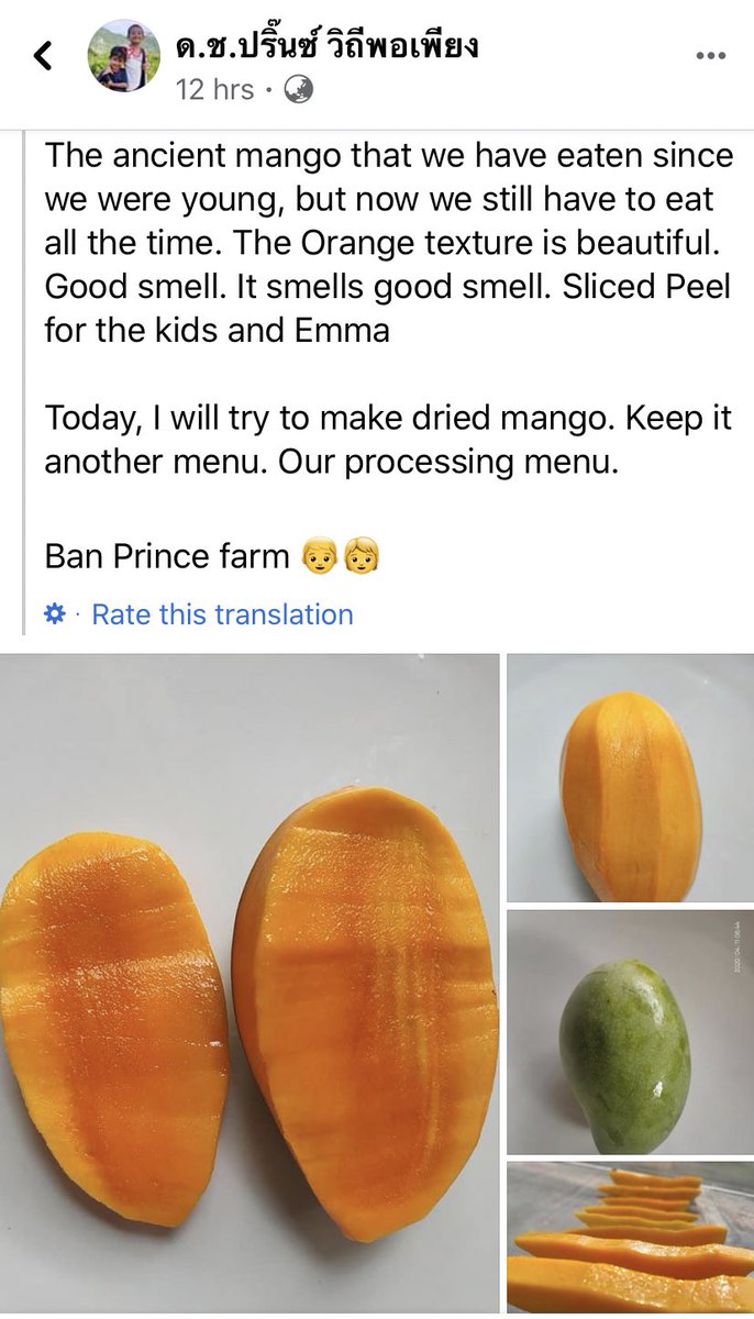 My next procurement will be black gold or ‘tong dam’ here’s the link to a small organic farmer on Facebook who could use the support of folks who don’t mind weird mangoes  https://www.facebook.com/duangkamol.pb 