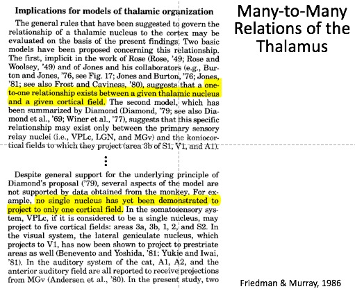 4/x It is clear that the cartoon model (of a 1-1 mapping between thalamic nuclei and cortical areas) is outdated. Instead, a thalamic nucleus has projections to multiple cortical areas, and a cortical area projects to multiple thalamic nuclei.