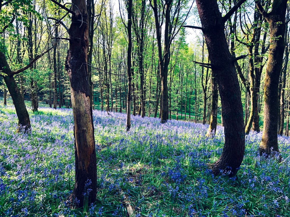 DukesBath's tweet photo. We can't go exploring at the moment, but this looks like a great reason to visit Bath this October: https://t.co/s6djuVuw2b

#dukesbath #bathmarches @BathMarches @visitbath https://t.co/5QyG2dtoLk