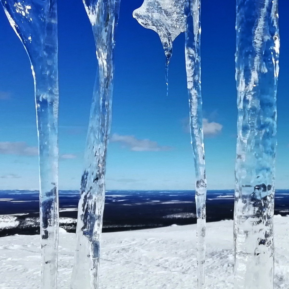 The corona pandemic feels like the whole world is shut behind the bars. But some day it will be over. Warm thoughts to all of you! #StayHome