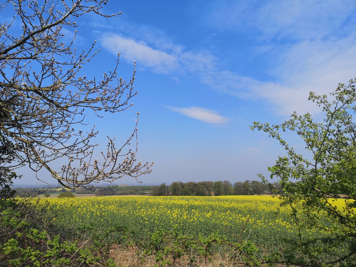 In the words of ELO "hello Mr blue Sky" ☀️ stay safe everyone. Happy social distancing. ✌️#Shropshire  #sunshine #SocialDistancinguk