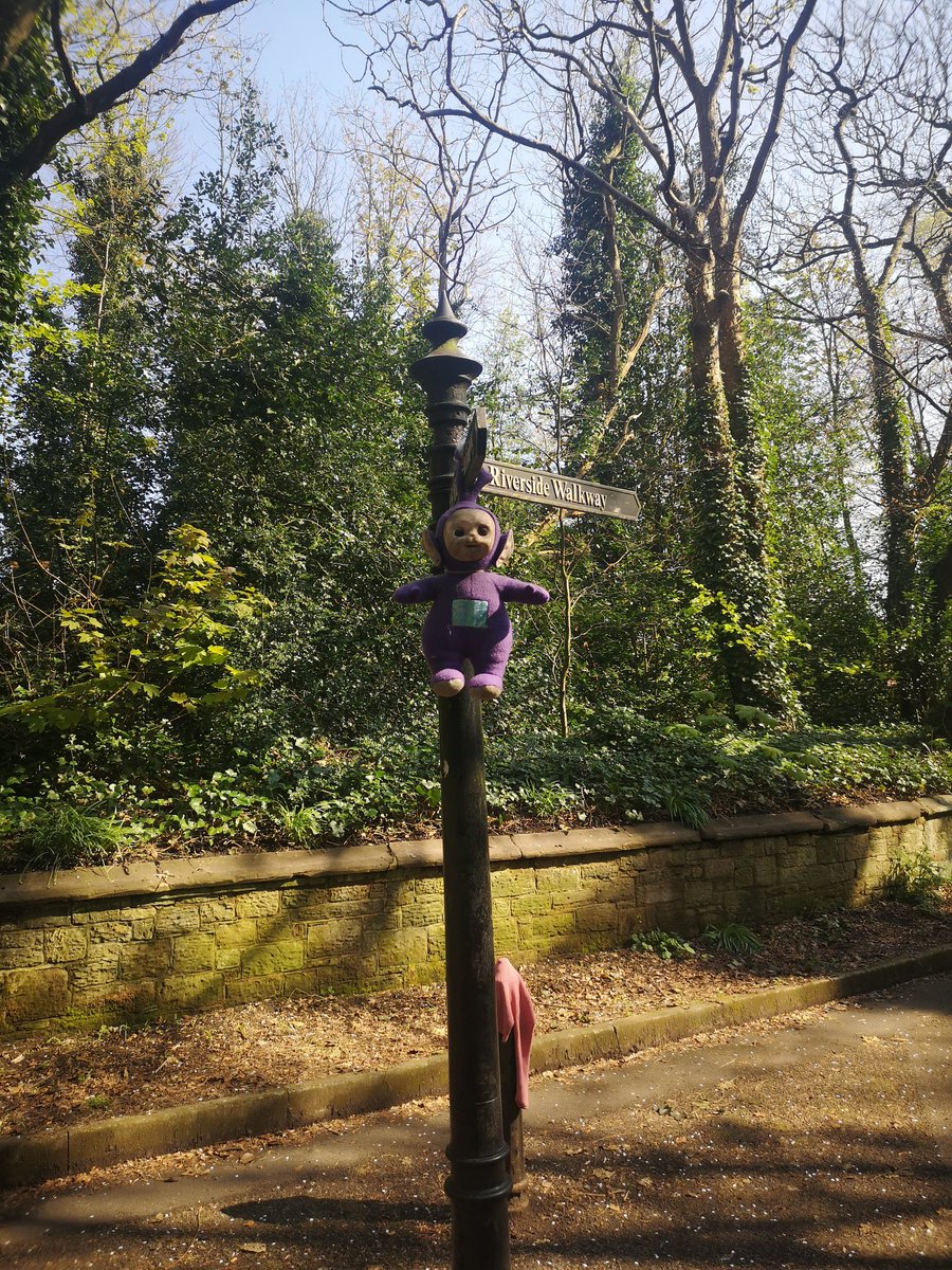 Seán Gleeson tweet media