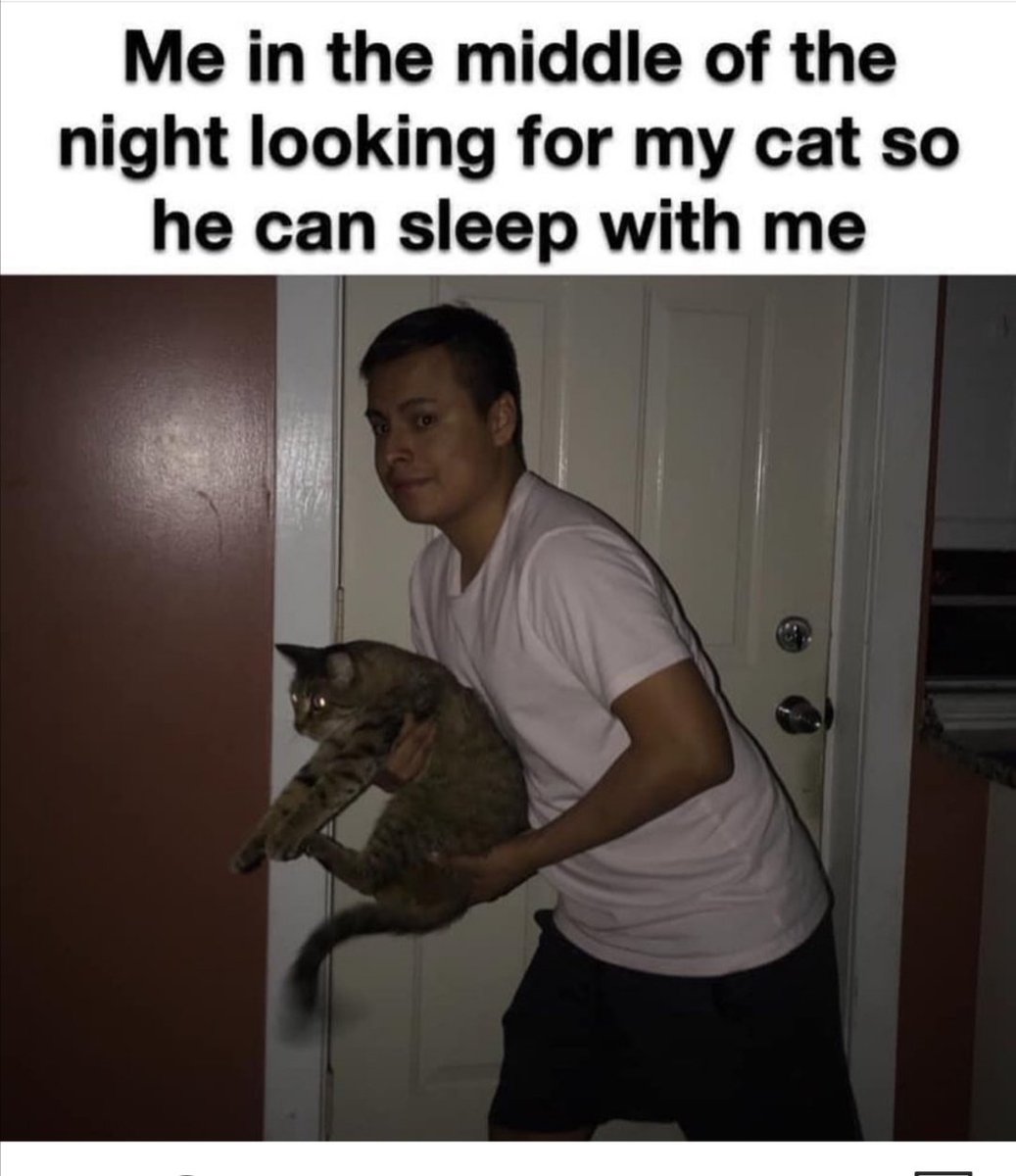 JenniferMeowMe1's tweet photo. https://t.co/bUzxigg8Rp