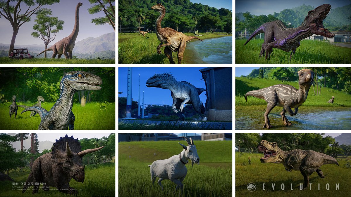 Jw Evolution You Can Only Pick Three Choose Wisely
