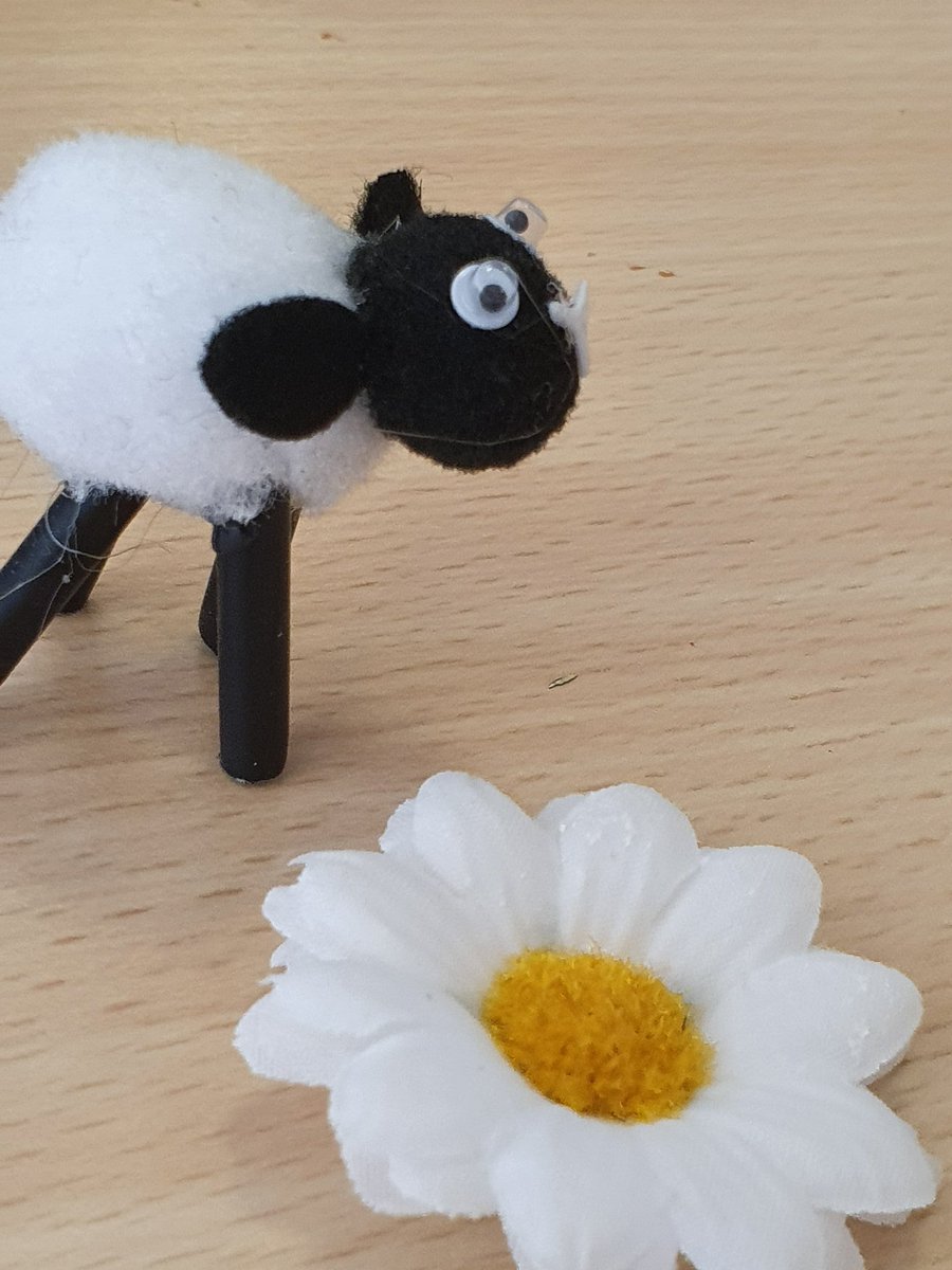 Paulineb1982's tweet photo. Saturday easter shenanigans on maple #arttherapy #artsandcrafts #mapleward @vanessa_GMMH @JodyHope3 @GmmhJo @GMMH_NHS https://t.co/81khQYbKbb