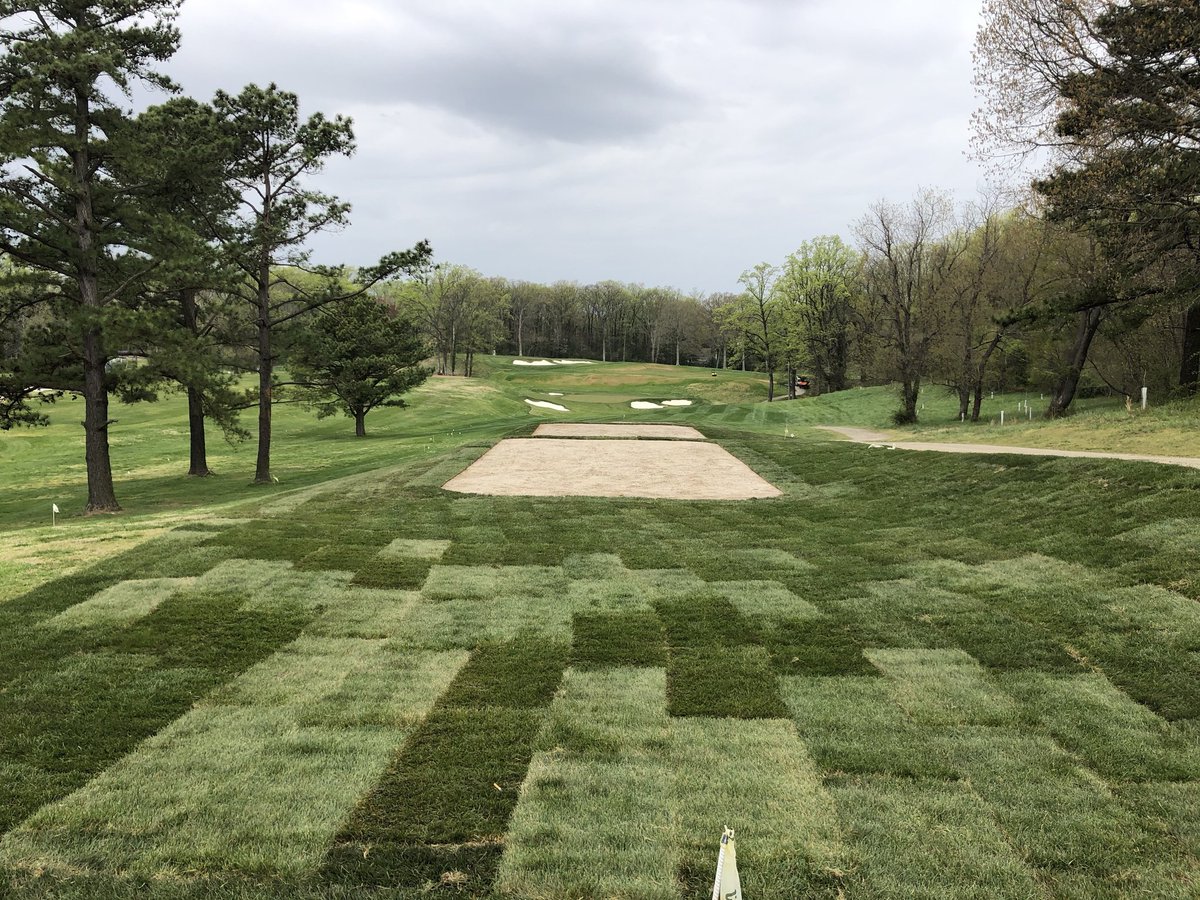NavyMGolf's tweet photo. Teeing area on the renovated par 3 12th with fresh sod on the surrounds!! Photo cred @usnagolf @esd327
#williamflynn
@GreenGCA https://t.co/UUthaSsdnZ