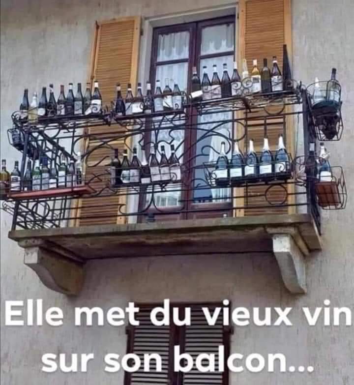 Sweetiestdreams's tweet photo. pour attirer les moineaux les pigeons
elle vit sa procuration devant son poste de télévision
tu vois Jean Michel
j ai pas chanté 😇😉 https://t.co/LhmLUbrWKC