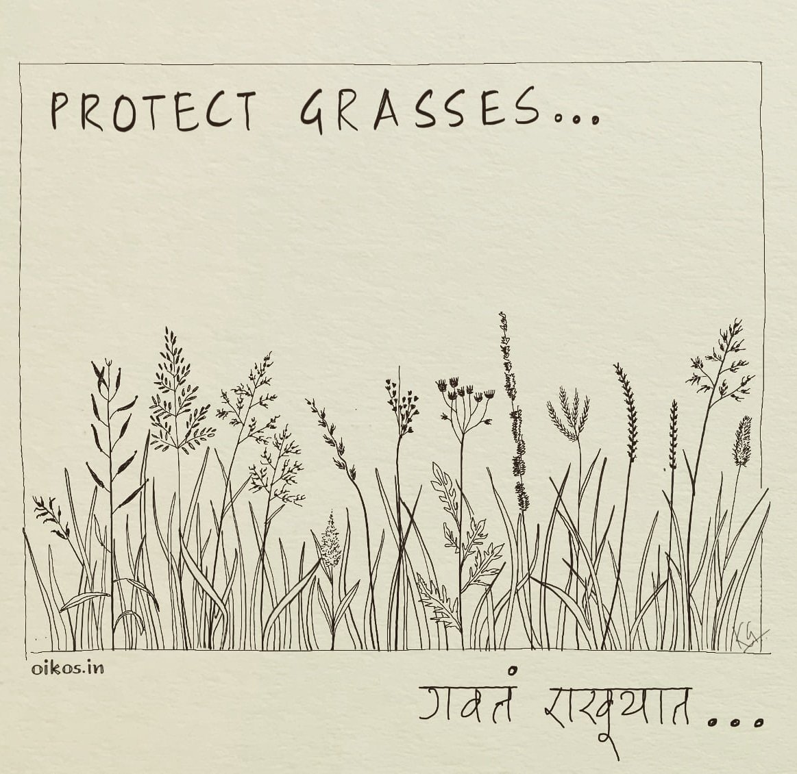 🌿 21 acts for Nature conservation !! निसर्ग संवर्धंनासाठी २१ उपक्रम !!

17. Protect grass cover 🌾
(Semi-urban - Rural areas)

Native grasses and it's biomass is wealth for any degraded land !

#oikos_pune #protectgrasses #GrowNatives #ProtectNativeGrass