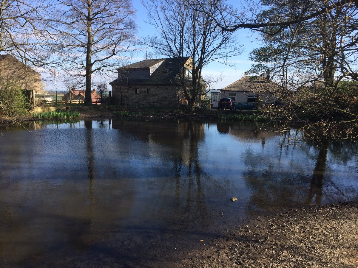 bourbizzle's tweet image. Smells like lots of people are having bbq tonight on my walk today. Also found a really nice duck pond