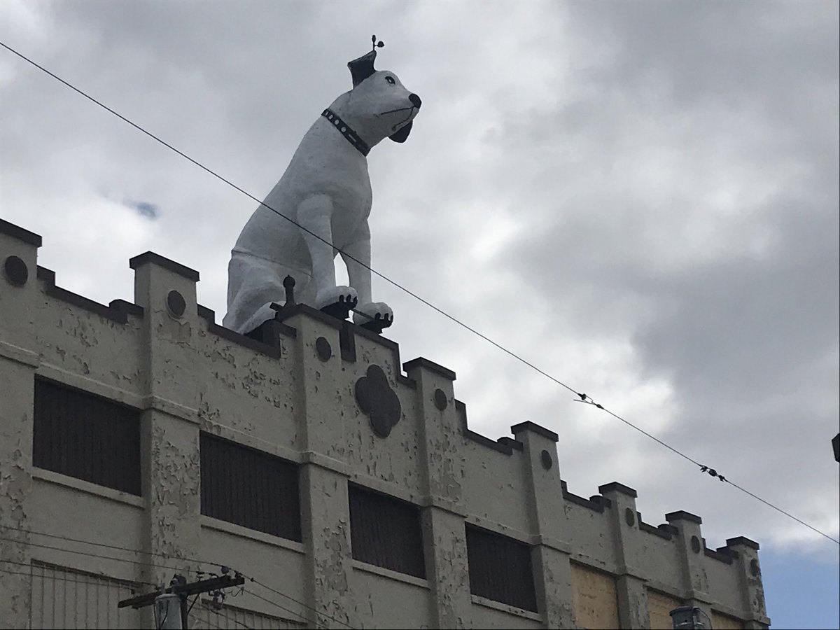 AlbanyPHBlog's tweet image. #Smalbany