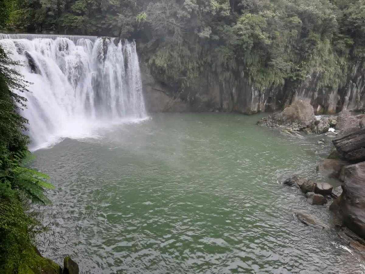 JSlekin's tweet image. 