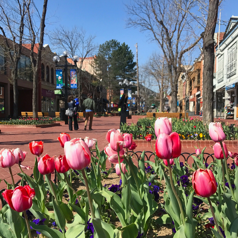 Hotel Boulderado tweet media