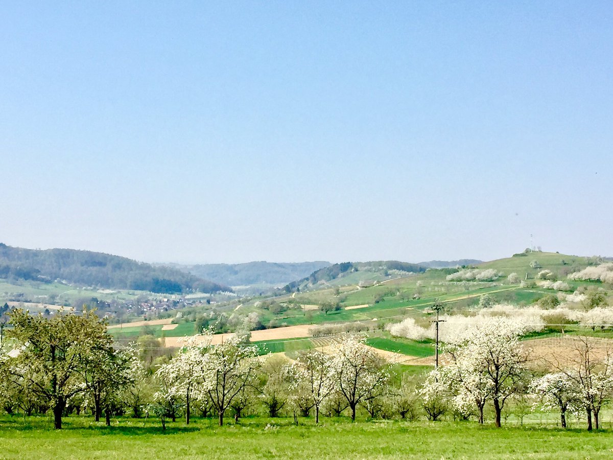 Schöne Ostern wünschen wir!