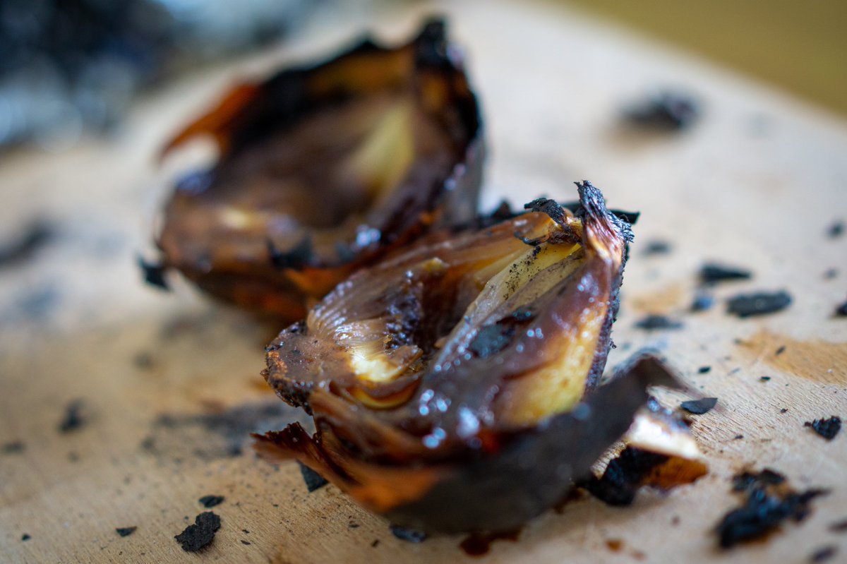 One of early modern England’s most popular plague remedies involved cutting an onion ‘asunder’ and ‘making a hole in each peece, the which ye shall fill with treakle’. The onion was then resealed, roasted in embers, and the juice strained and given to the patient. (1/6) 🧅🍯