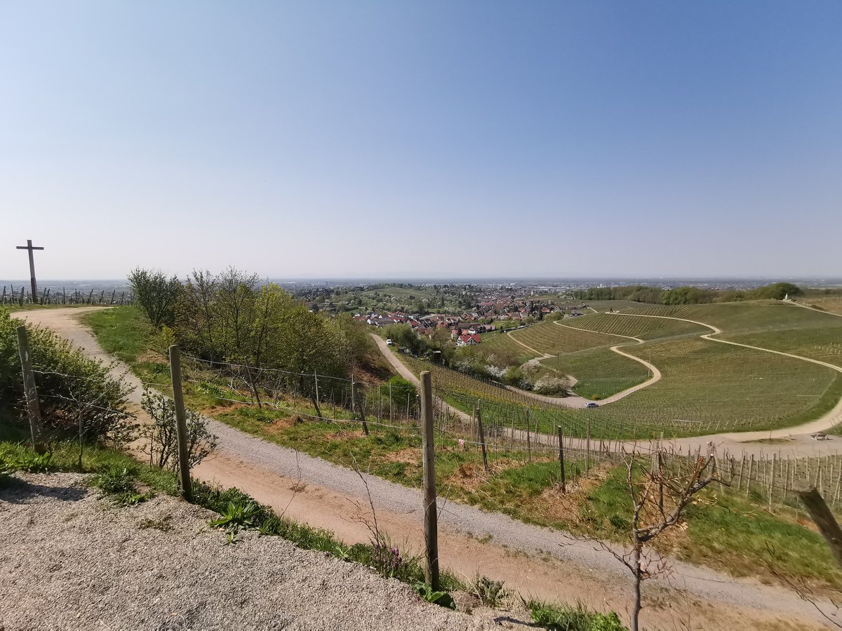 s1zzler77's tweet photo. Ein ordentlicher Schmazer an @TwitchGrey für das ermöglichen der heutigen Bike Session mit @liiquit. Fast 500m Höhenunterschied haben wir gepackt 🚲🦵#beintraining https://t.co/8jmntgJRej
