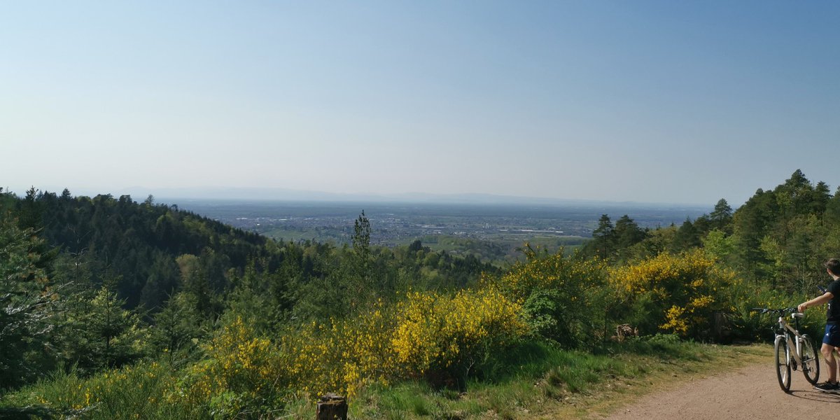 s1zzler77's tweet photo. Ein ordentlicher Schmazer an @TwitchGrey für das ermöglichen der heutigen Bike Session mit @liiquit. Fast 500m Höhenunterschied haben wir gepackt 🚲🦵#beintraining https://t.co/8jmntgJRej