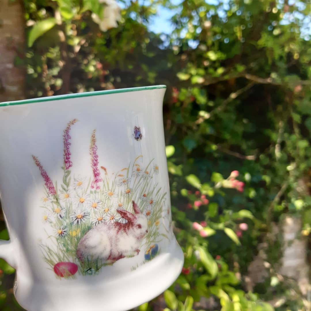 carriem984's tweet photo. A beautifully sunny Easter Saturday in the garden. 💛

#eastersaturday #happyeaster #easterinisolation #easter2020 #itsthelittlethings #gogently #stayathome https://t.co/yhG78vcp6m