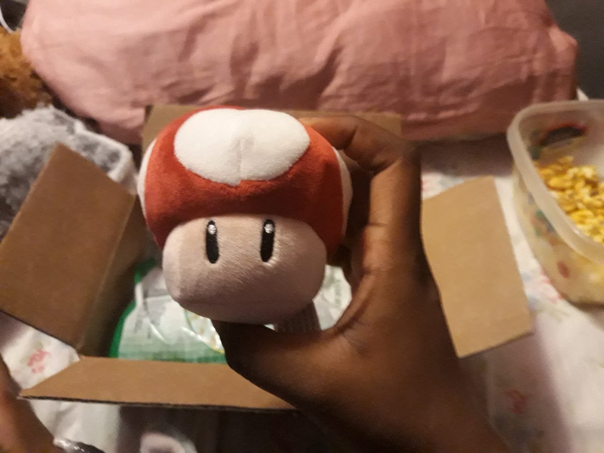 lastly, to really fill out the box i added two small plushies that i thought shed like, with the box finally full i could move on and write her my "confession" letter (which i wont be sharing bc thats personal :p but basically i talked abt me as a person and my thoughts on the-