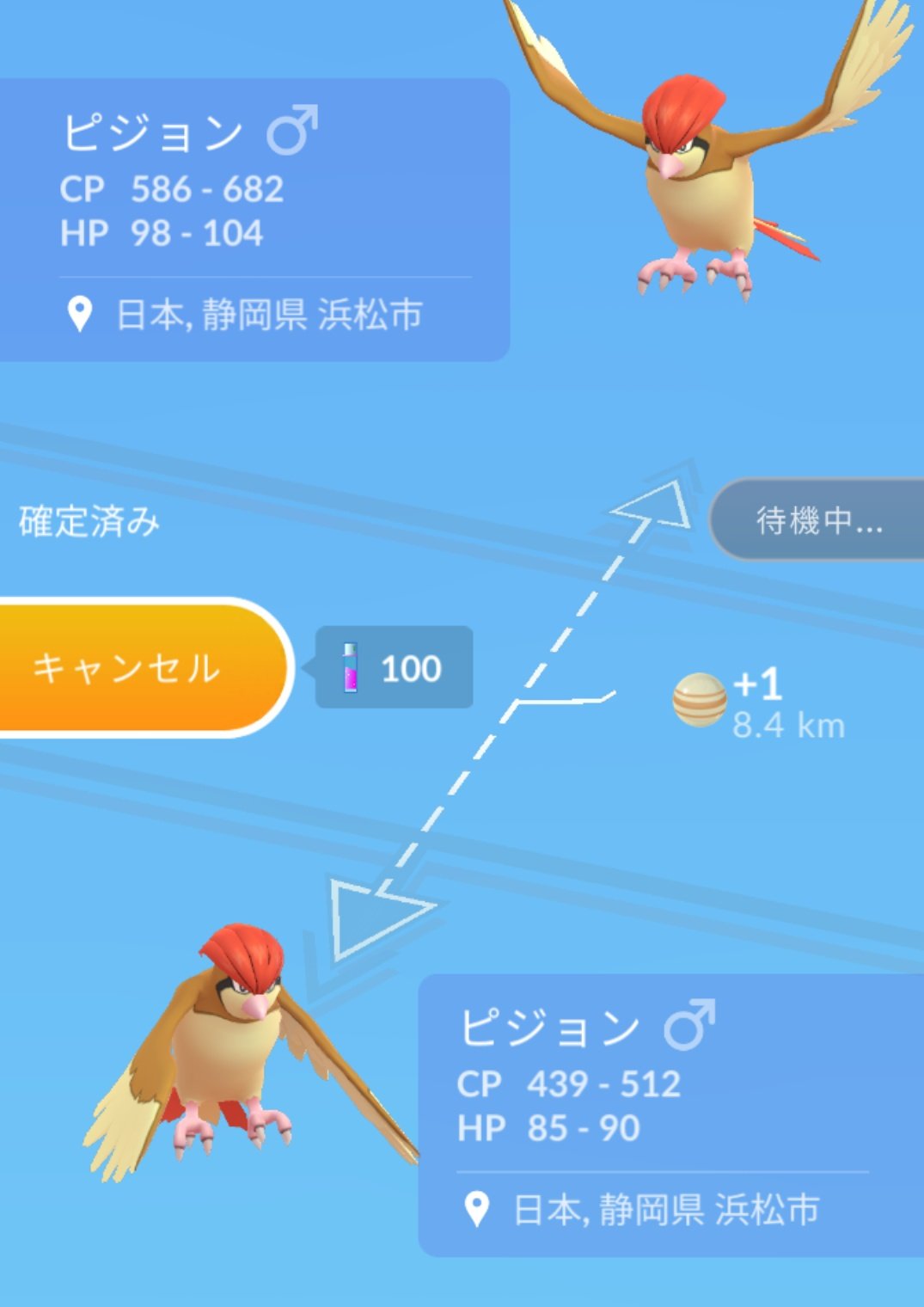 تويتر かっちゃん ８ ６ ８gofest札幌 على تويتر 昨日ポケモンｇｏでゲットしたキラポケモンその４ キラピジョン 初ゲット おととい ３日前 にゲットした ピジョン と 昨日 おととい ゲットした ピジョン を交換したら キラピジョン になりまし