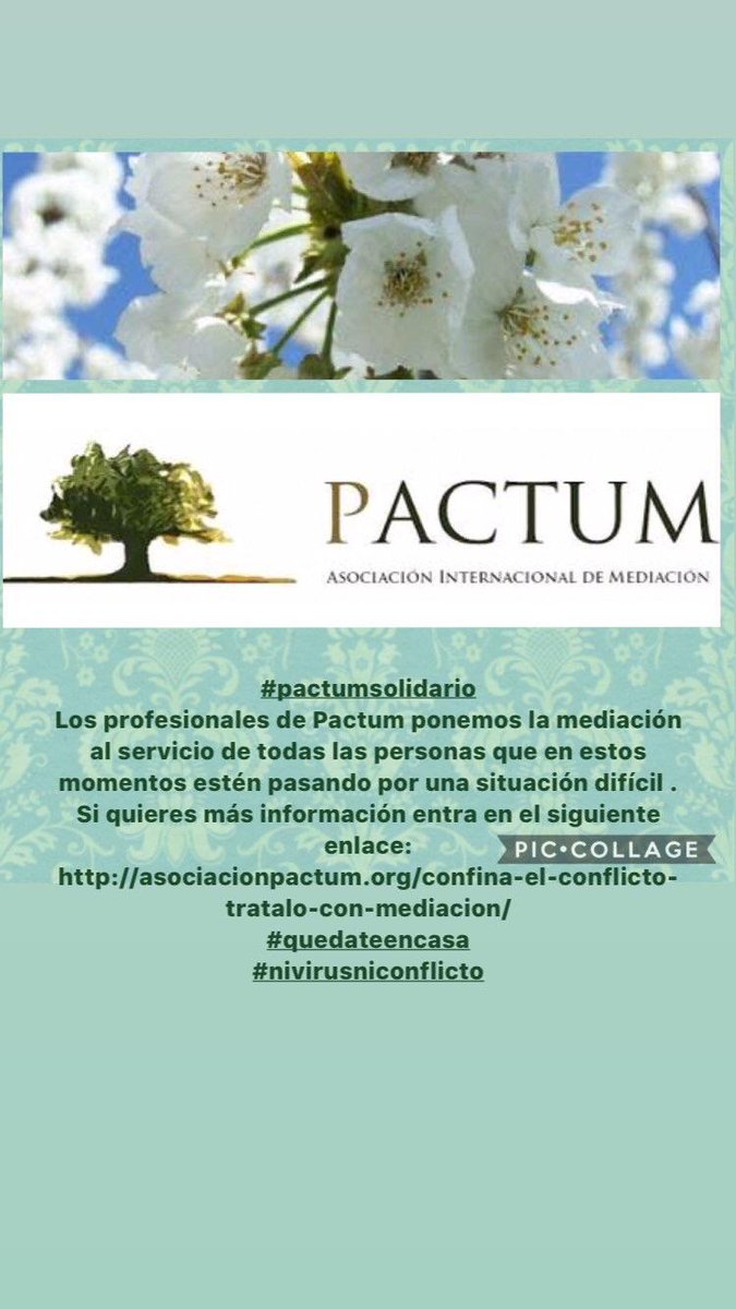 #pactumsolidario #confinaelconflicto #quedatencasa