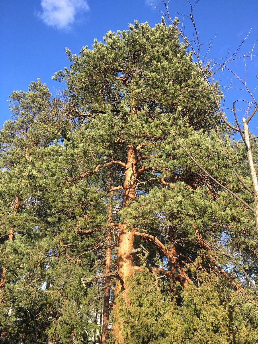 KTurkama's tweet photo. Kiitos haasteesta @SusannaFab. Arki kuvina 1/7. Haastan @KatariinaJa https://t.co/IVYHUPJ5MI