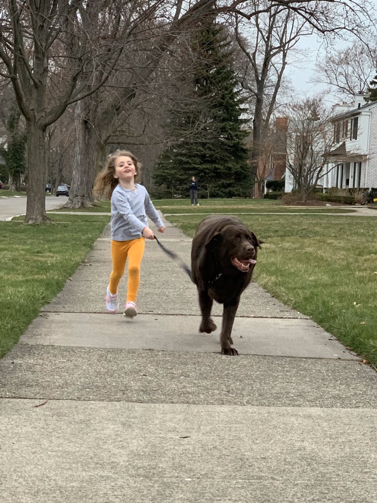 EMSPigeon's tweet photo. @rbcrisp @klinelab Our 4 yo “walking” the dog. https://t.co/QlEBkS8qgZ