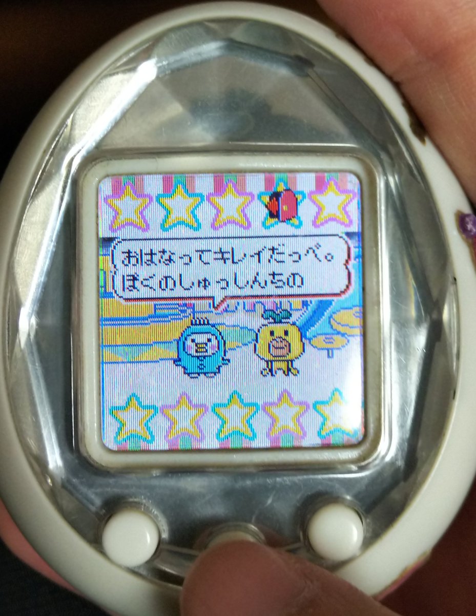 たまごっちid Twitter Search