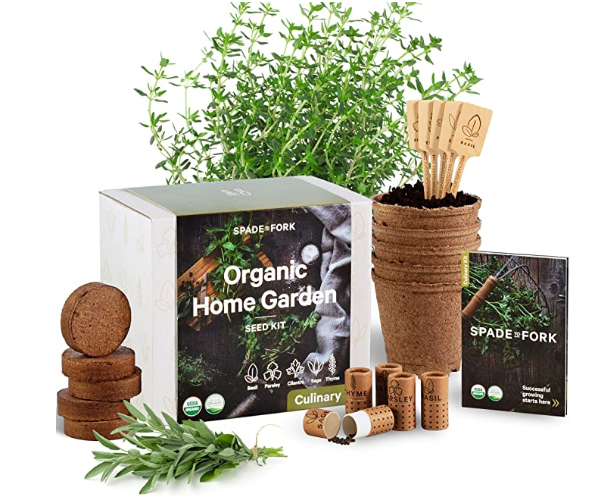 TheSparrowSays's tweet photo. Start up an indoor herb #garden - Starter Kit - 100% USDA Organic Non GMO - with everything you need to grow basil, cilantro, parsley, sage, and thyme.
#organic #gardening #herbs #nature
#BestofAmazon #OnlineMarketing #market
https://t.co/ifqGWtnkt9 https://t.co/oqZjCHIIoy