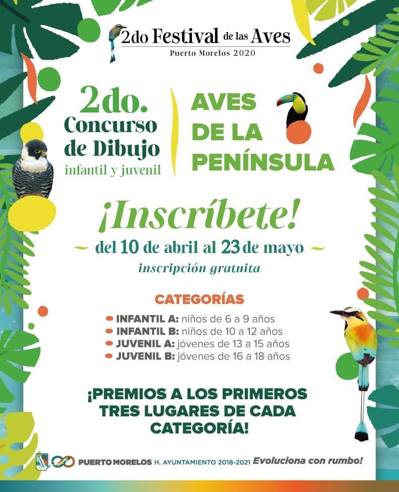 CrisRosado's tweet photo. Participa en el 2do Concurso de Dibujo 🌿🦜🦚

Ya está abierta la convocatoria del segundo concurso de dibujo infantil y juvenil. ¡Vamos a pintar aves de la península! 🐦🦆🦅🦉 

Desde casa podrán participar. Chequen la siguiente convocatoria y dejen que su imaginación vuele. https://t.co/ua4fUTnB9l
