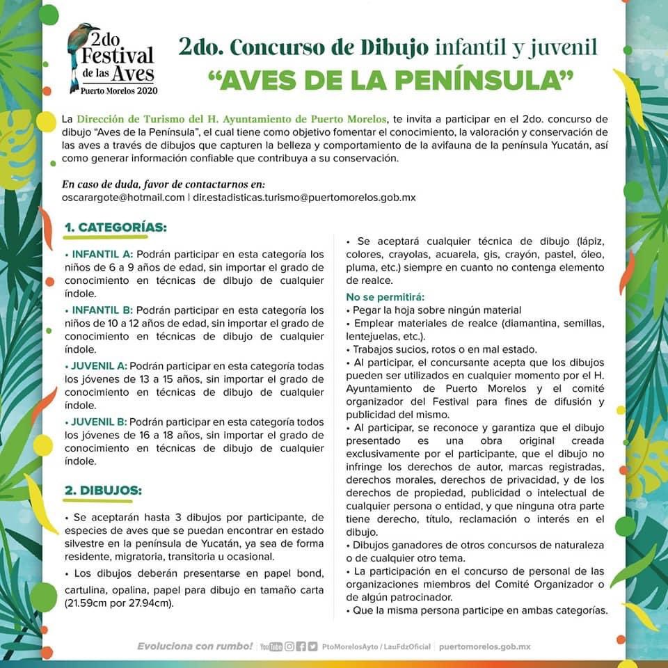CrisRosado's tweet photo. Participa en el 2do Concurso de Dibujo 🌿🦜🦚

Ya está abierta la convocatoria del segundo concurso de dibujo infantil y juvenil. ¡Vamos a pintar aves de la península! 🐦🦆🦅🦉 

Desde casa podrán participar. Chequen la siguiente convocatoria y dejen que su imaginación vuele. https://t.co/ua4fUTnB9l