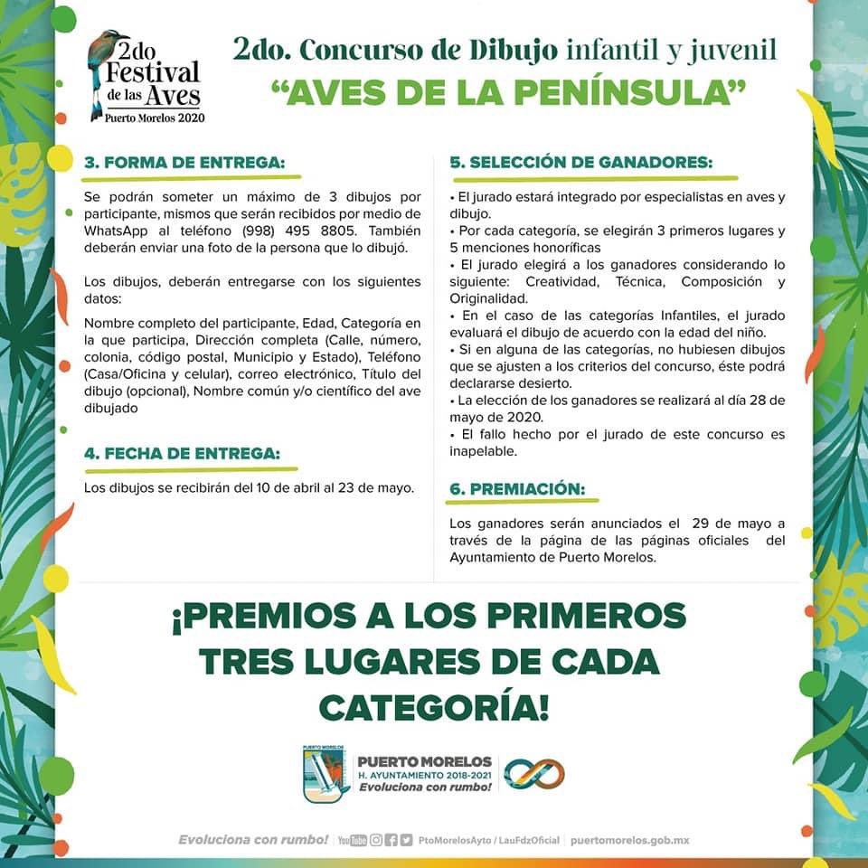 CrisRosado's tweet photo. Participa en el 2do Concurso de Dibujo 🌿🦜🦚

Ya está abierta la convocatoria del segundo concurso de dibujo infantil y juvenil. ¡Vamos a pintar aves de la península! 🐦🦆🦅🦉 

Desde casa podrán participar. Chequen la siguiente convocatoria y dejen que su imaginación vuele. https://t.co/ua4fUTnB9l