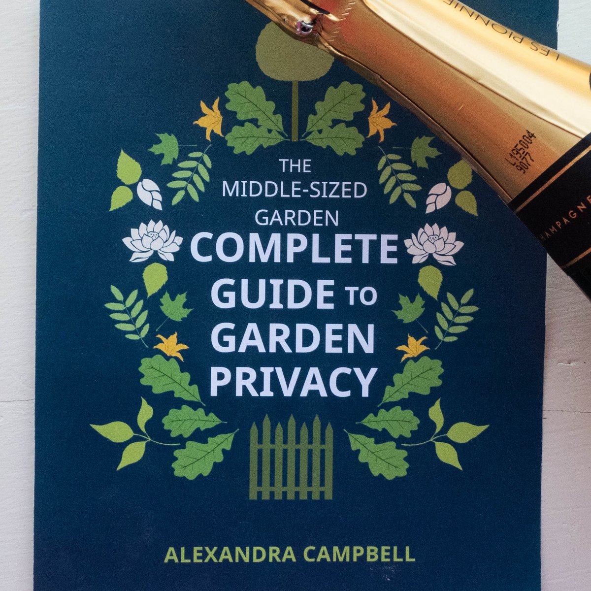 Alexandra Campbell tweet media