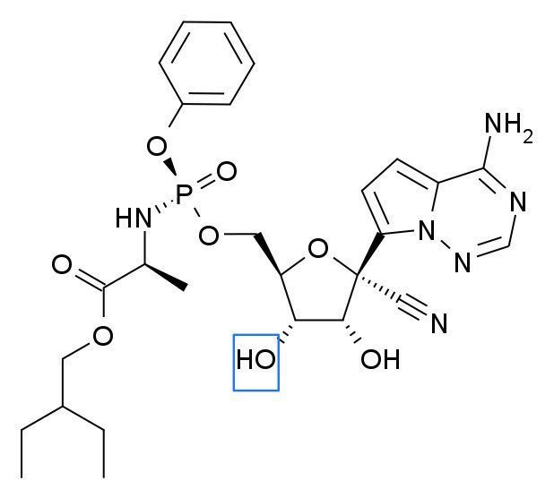 Blue box: Hydroxyl group needed for chain termination. This is the main player that tricks the viral machinery into thinking Remdesivir is the natural substrate adenosine. Once the drug hooks to the enzyme, it “jams” the enzyme and makes it unable to build new genomic sequence.