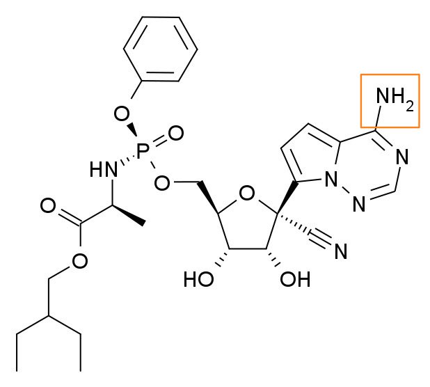 The orange box depicts the amine group in which the nitrogen atoms act as proton donators/recipients. This is necessary to maintain electrical neutrality and provides Remdesivir (aka “pseudo adenosine”) with the proper cover to attach to uracil and go unnoticed by the virus.