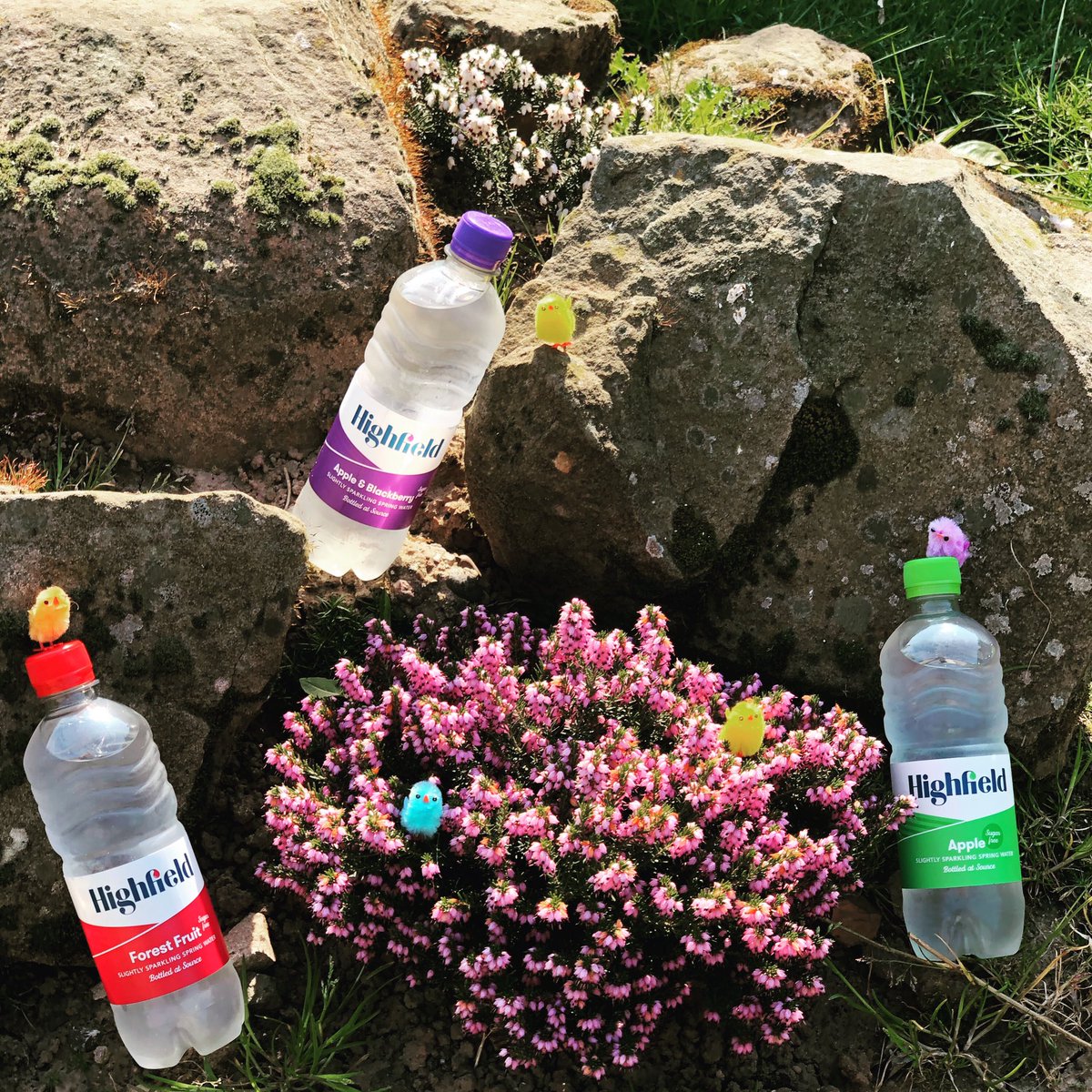highfielddrinks's tweet photo. HAPPY EASTER🐣 from us at @highfielddrinks 
.
We hope you’re staying safe, healthy &amp; at home this weekend, whilst enjoying the sunshine 
.
#stayhome #bankholiday #flavouredwater #amazon https://t.co/fJav5Rz1mY
