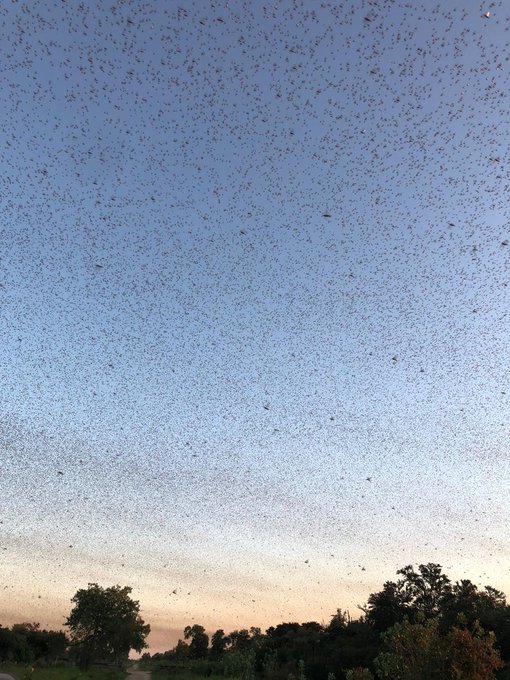 View image on Twitter