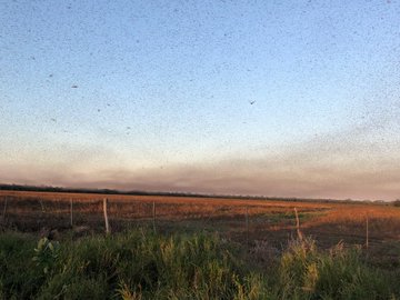 View image on Twitter