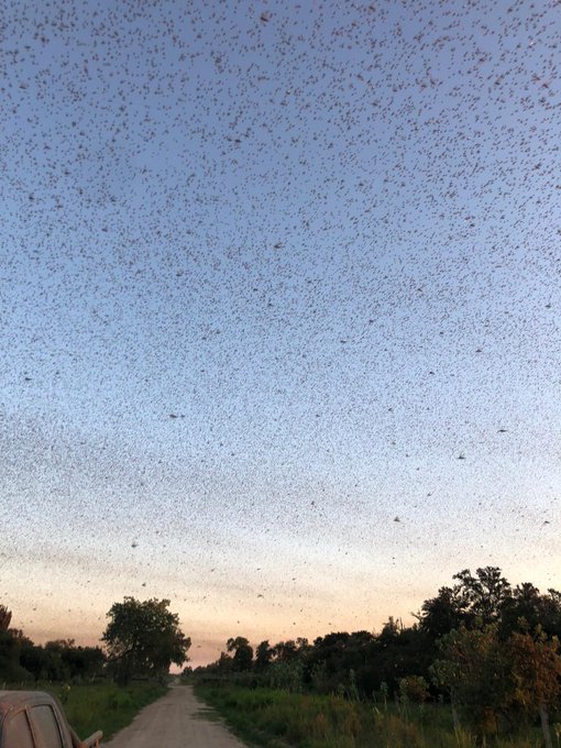 View image on Twitter