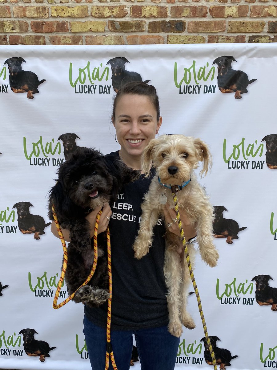 With extra safety measures and social distancing precautions; we were able to transport 24 dogs to our partner rescue groups in Wisconsin today!  🚌🐶🐶🐶🐶

Thank you to our donors, fosters, 💯 Club Members, volunteers, partner rescues and adopters for making this possible!