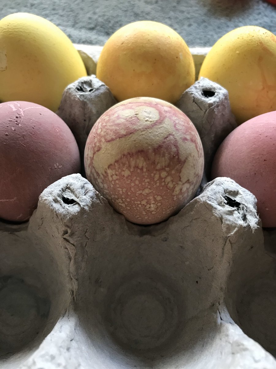 this was the most “eggciting” way i have ever dyed eggs before ! 🐣✨

we shredded beets &amp; red cabbage. skinned 2 onions &amp; turmeric powder . boiled each for 20min . strain . cool . add vinegar . leave overnight for the most VIBRANT eggs you have ever seen ! 🐰💕