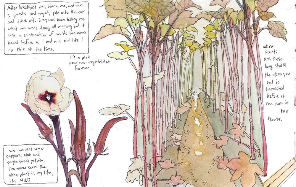 More pages from my travel journal in Asukamura. I bought okra seeds recently and can't wait to try to turn my front yard into a magical okra forest. 