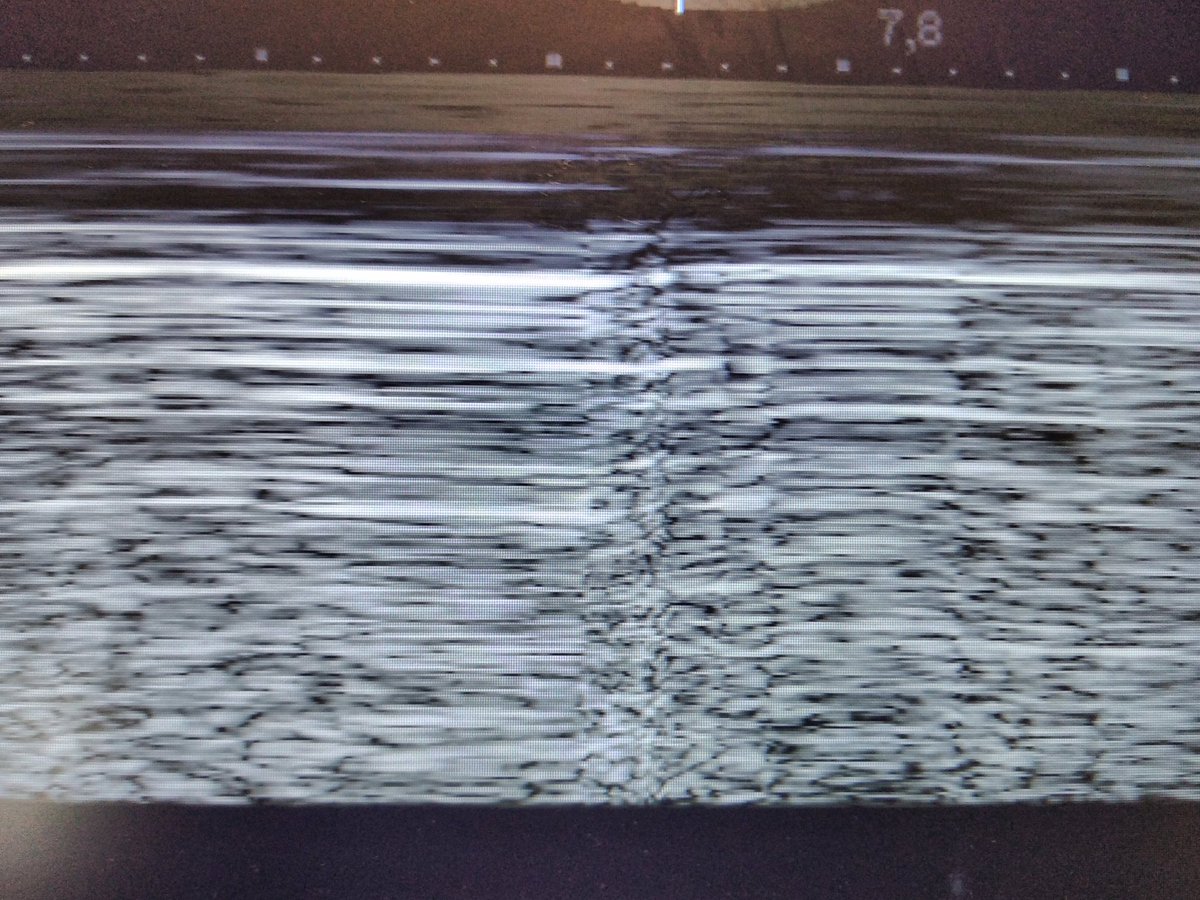 Silvana Resi tweet media