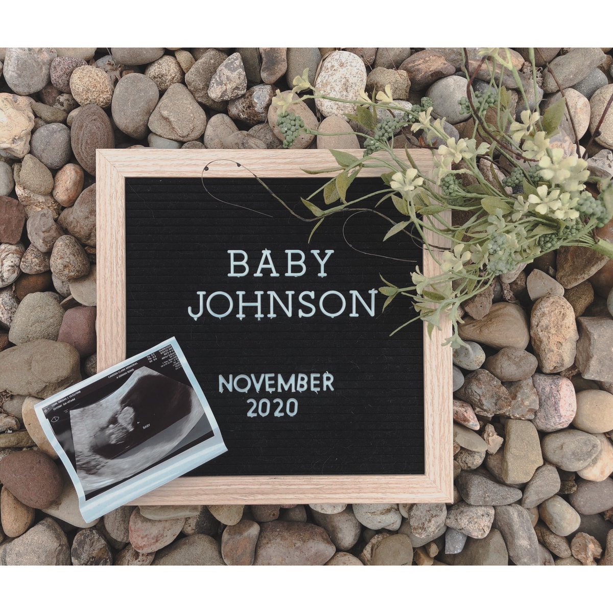 abbbyc_'s tweet photo. surprise!!! We’re going to be parents 👶🏻🤍 https://t.co/e5nD1VzJkr