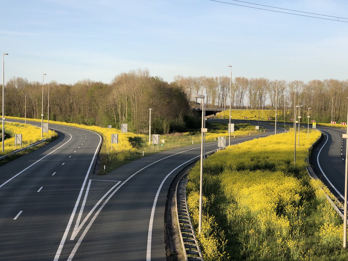 Dankjewel <a href="/Rijkswaterstaat/">Rijkswaterstaat</a> voor deze zeer Paselijke bermbeplanting! A73 Knooppunt Neerbosch <a href="/gem_Nijmegen/">Gemeente Nijmegen</a> fijne paasdagen!