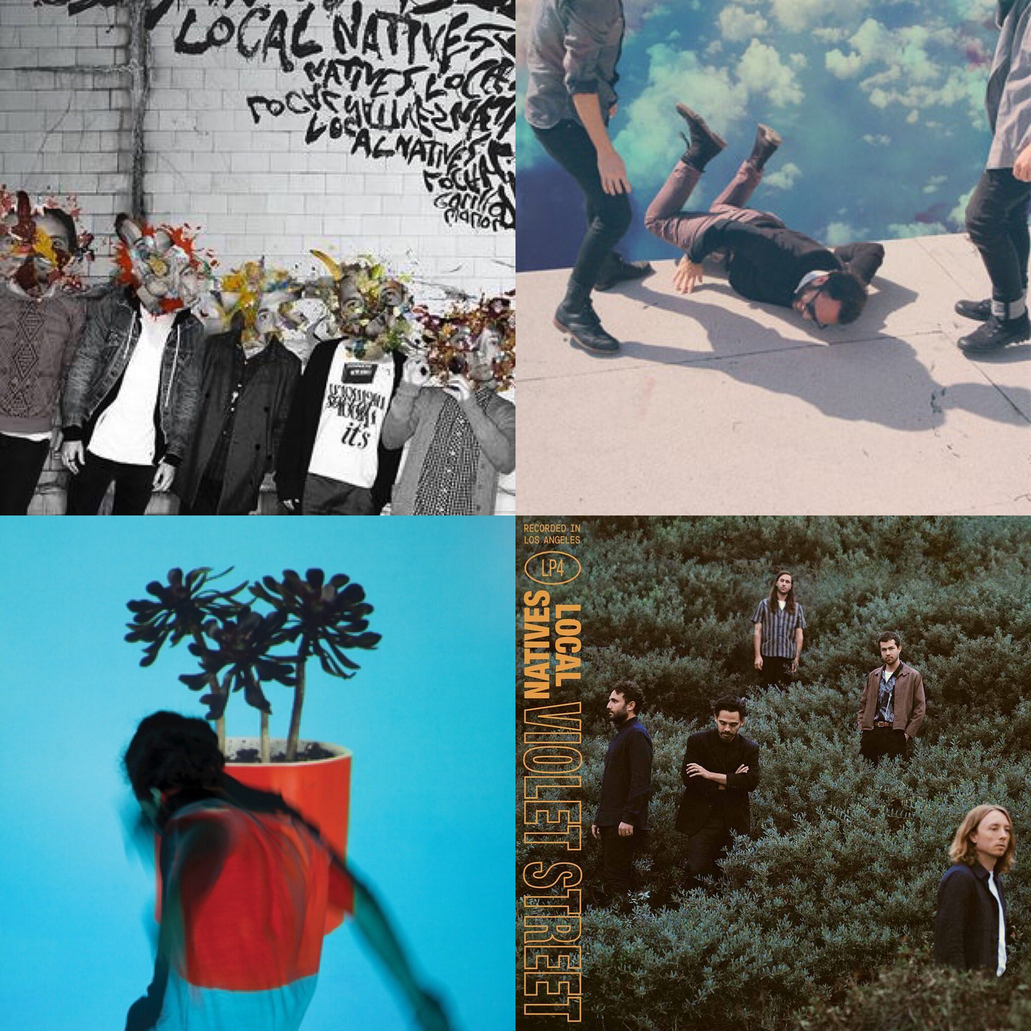 Local Natives Album Cover