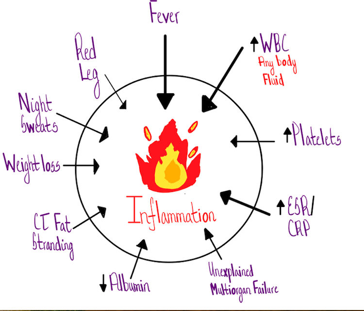 Wait, what do you mean by inflammation?So glad you asked.There are many roads that lead to the conclusion that a syndrome has features of inflammation.Fever is the most specific, but there are many other paths.More here -  https://bit.ly/2VXeky0 