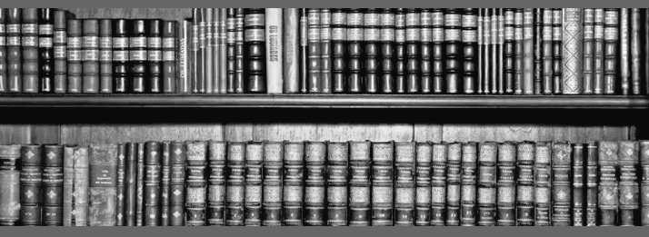 Gustavo Puertos Palacios tweet media